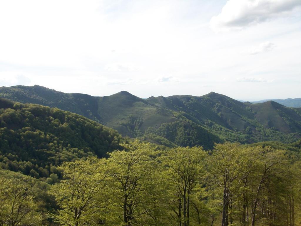 Hostal Rural Arrobi Borda Eugi Exterior photo